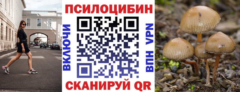 Псилоцибиновые грибы мухоморы  Киреевск 